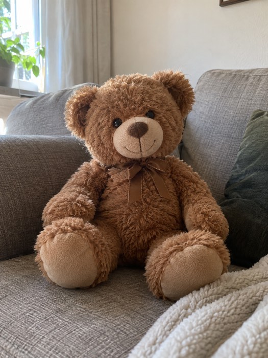 Ausgangsbild: ein brauner Teddybär auf einem Sofa