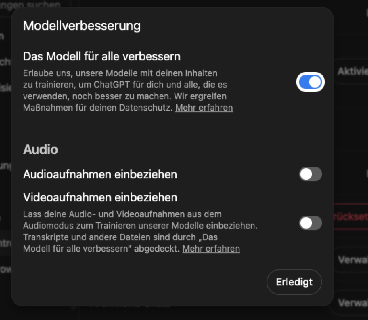 Dialog Modellverbesserung mit dem eingeschalteten Schalter „Das Modell für alle verbessern“ sowie den Schaltern für Audio- und Videoaufnahmen