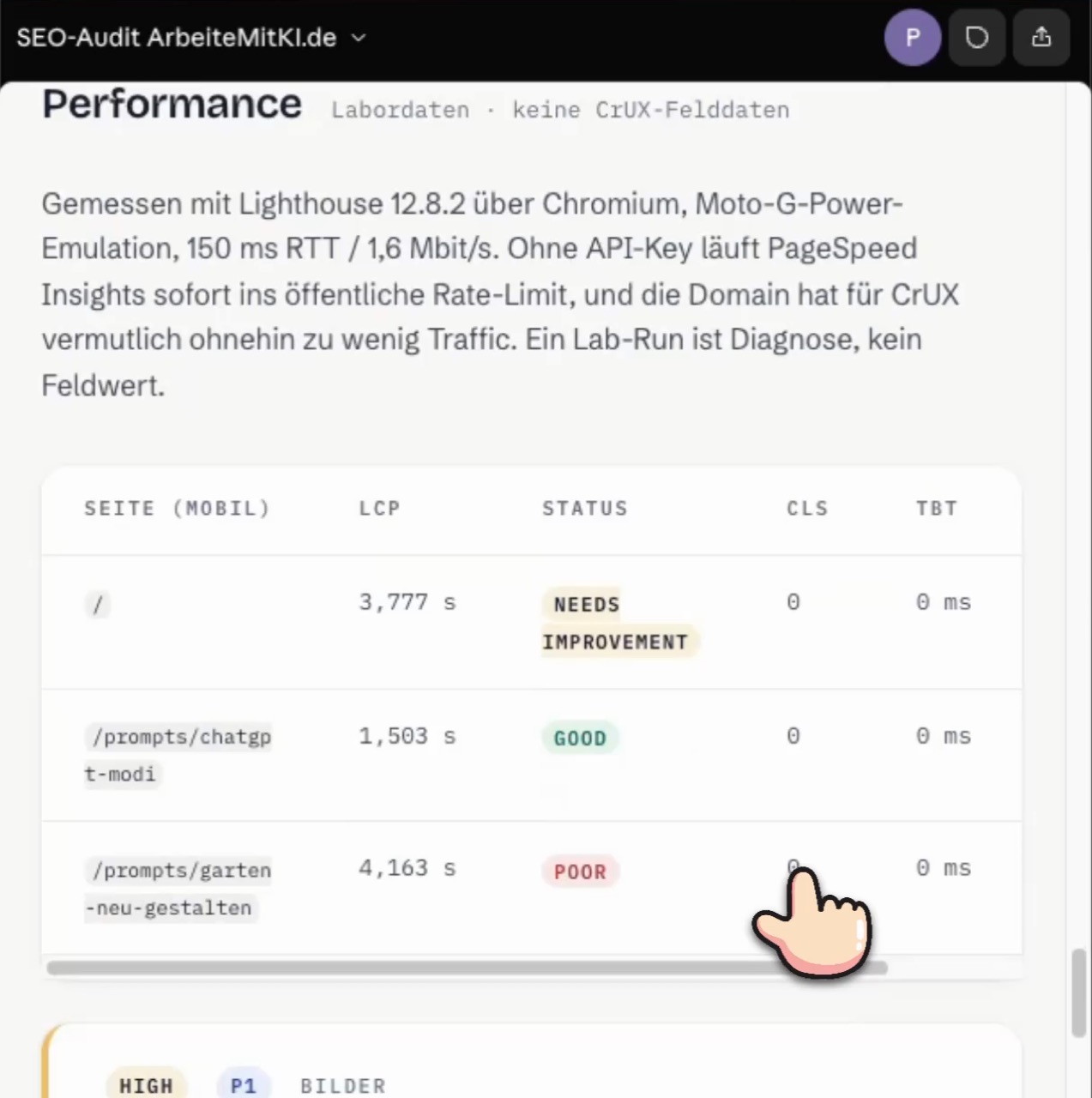 Die Performance-Sektion des Reports mit Lighthouse-Messwerten pro Seite