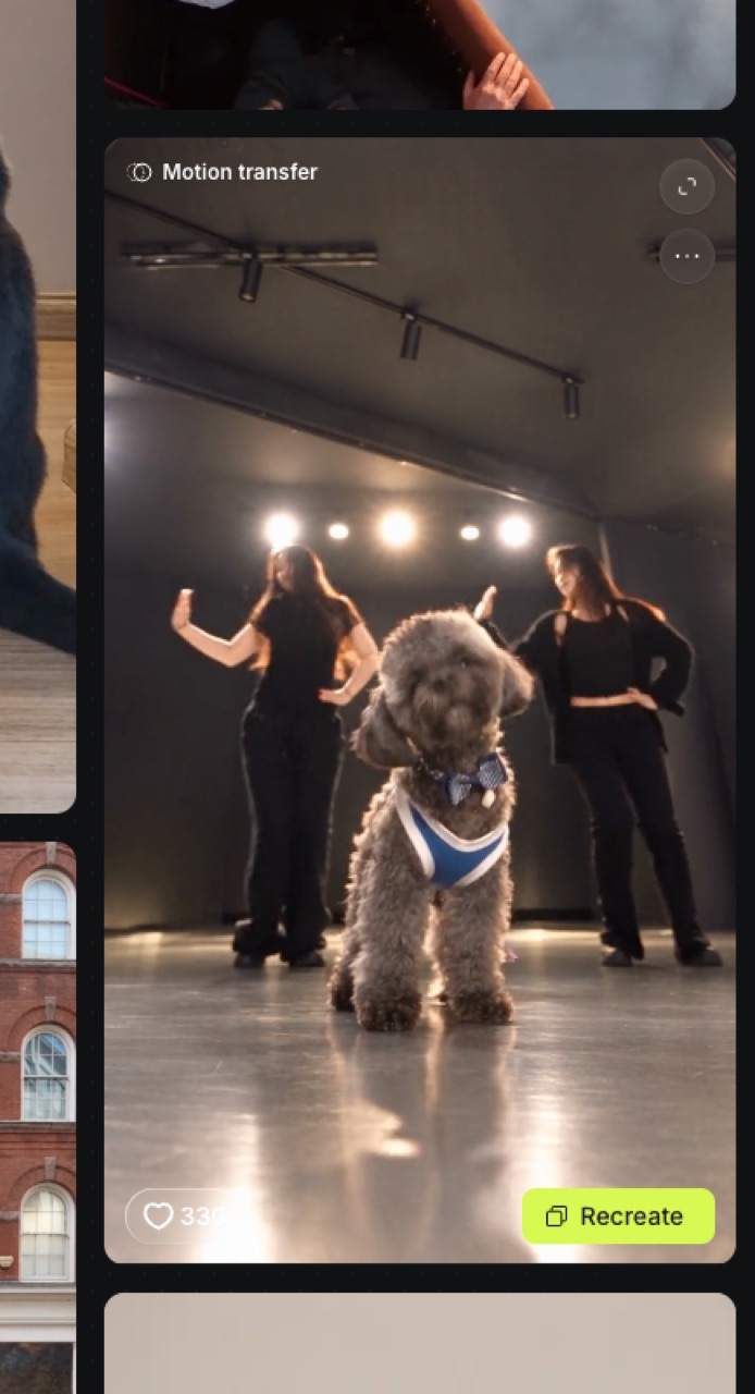 Tanz-Vorlage mit Hund und zwei Tänzerinnen im Motion-Transfer-Fenster, unten der Knopf Recreate